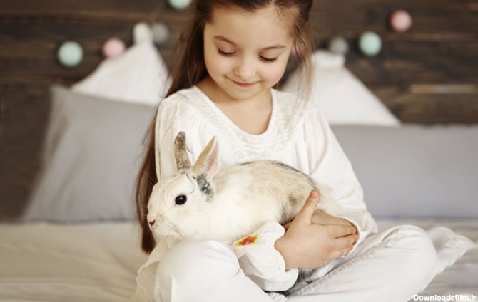 معرفی محبوبترین نژادهای خرگوش خانگی | دنیای حیوانات