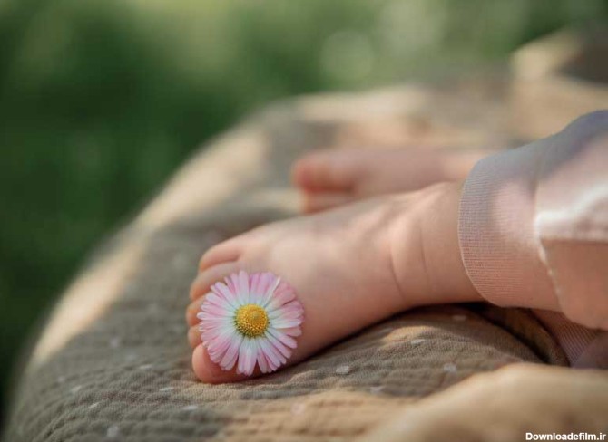 دانلود عکس گل و پای نوزاد