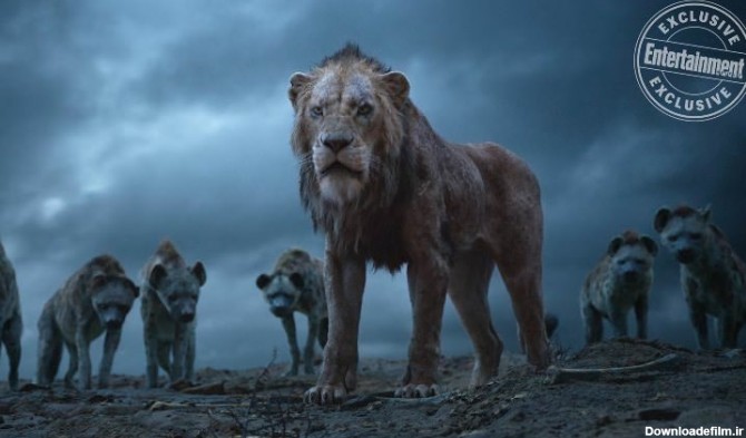 تصاویر جدید فیلم شیر شاه با حضور سیمبا، موفاسا و اسکار - زومجی