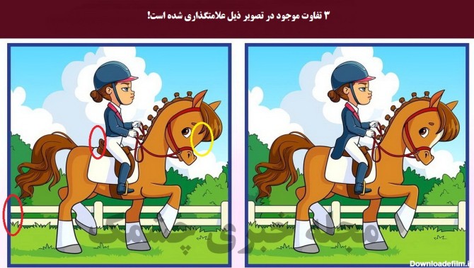 تفاوتهای تصویر اسب سوار