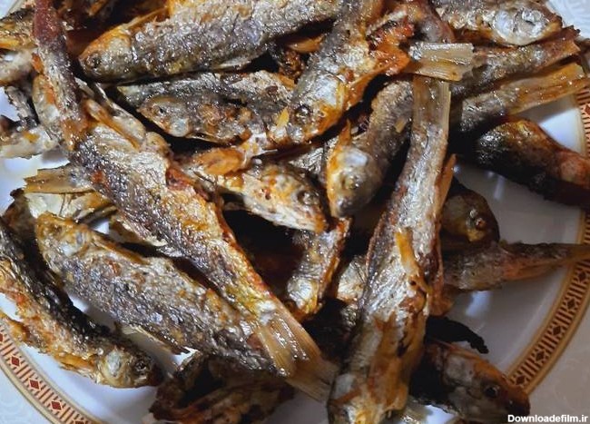 طرز تهیه ماهی کولی سرخ شده ساده و خوشمزه توسط 🌛⭐شب⭐🌜 - کوکپد