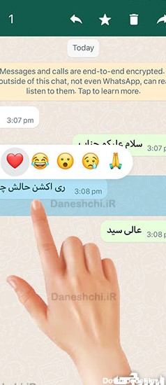 آموزش نحوه لایک پیام در واتساپ | Reactions on WhatsApp - دانشچی