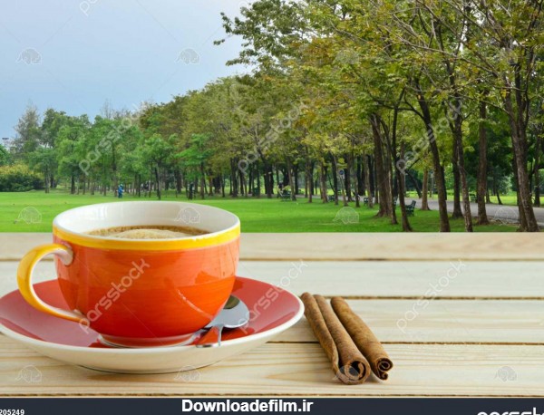 یک فنجان چای در پس زمینه طبیعت 1205249