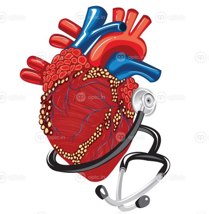 وکتور قلب واقعی با تصویر برداری گوشی پزشکی | اوپیک