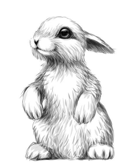 خرگوش طرح تصویر هنری گرافیکی از خرگوش در پس زمینه سفید برچسب ...