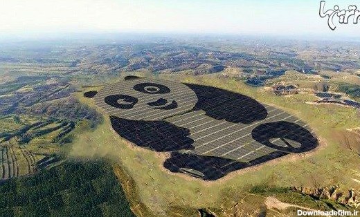 ساخت اولین مزرعه خورشیدی پاندا شکل جهان در چین