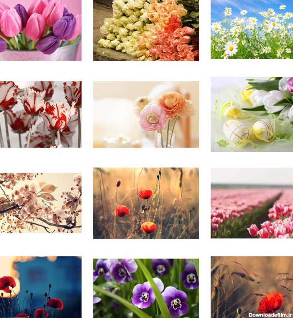 دانلود مجموعه تصاویر زیبا از گل ها و طبيعت با کیفیت بالا - دانلود ...