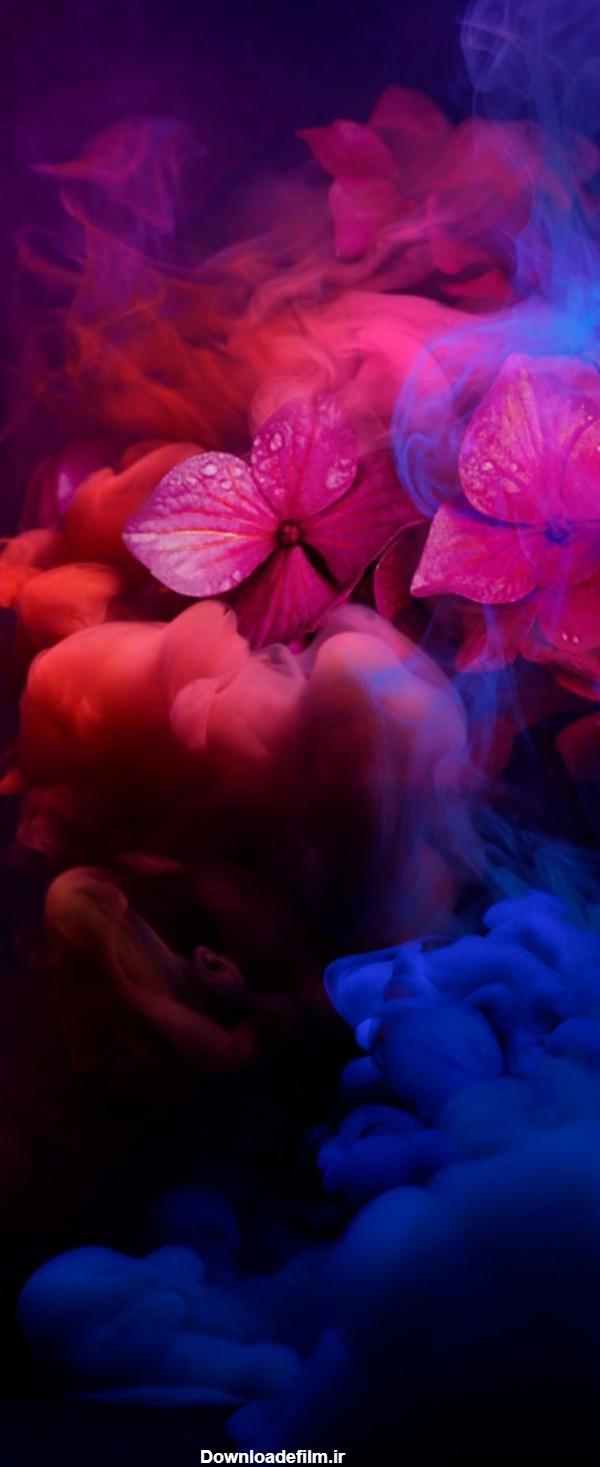 پس زمینه گوشی نوا 8i هواوی با طرح گل های غرق شده در دودهای رنگی