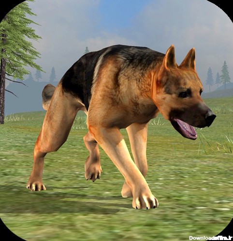 دانلود بازی Wild Dog Survival Simulator برای اندروید | مایکت