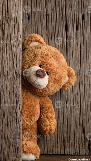 دانلود خرس عروسکی ناز با زمینه چوب قدیمی | اوپیک