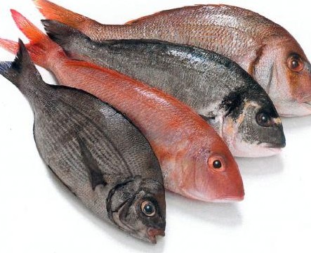 معرفی ماهی خوراکی دریایی روش طبخ و پخت انواع ماهی - فروشگاه و ...