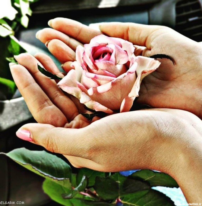 55 عکس دست عاشقانه و رمانتیک برای پروفایل و اینستاگرام