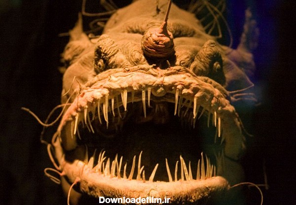 عکس زشترین و وحشتناک ترین موجودات دریایی در اقیانوس ها