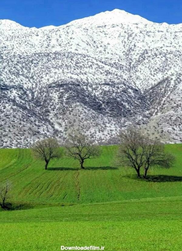 ♦️‏سفید کوه، لرستان* - عکس ویسگون