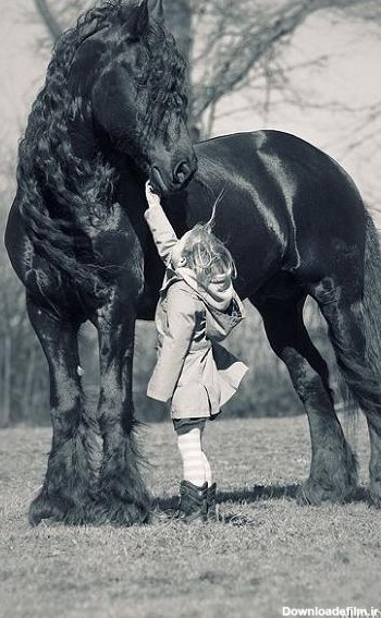 عکس پروفایل دختر با اسب سیاه