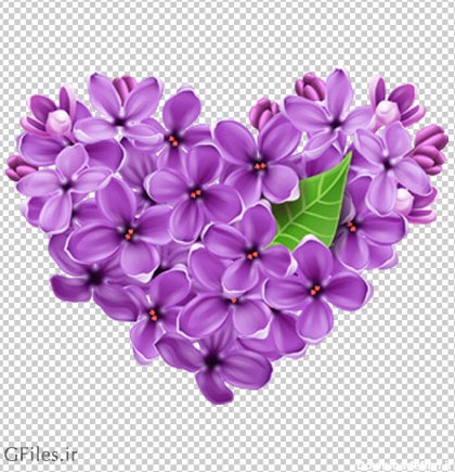 دانلود فایل ترانسپرنت و دوربری شده گل یاس بنفش قلبی شکل با پسوند png