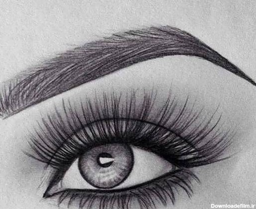 نکات نقاشی چشم در سیاه قلم - بلد میرزا