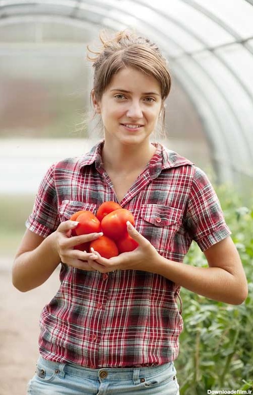 دانلود عکس خانم کشاورز و گوجه فرنگی