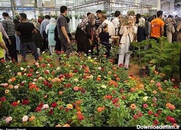 نمایشگاه گل و گیاه با حضور 60 تولیدکننده داخلی از شهرهای تهران، محلات، اراک، خراسان، اصفهان، کردستان، قم، گیلان، مازندران و کرمانشاه
