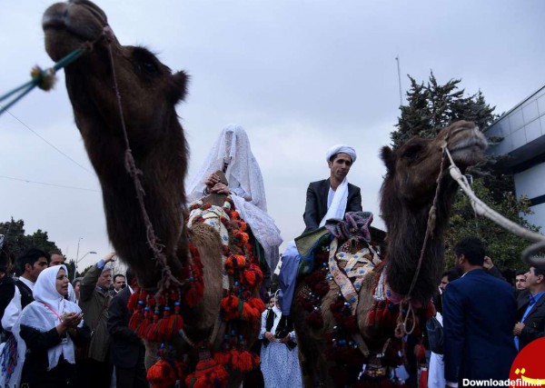www.dustaan.com مراسم عروسی سنتی استان سیستان و بلوچستان +تصاویر