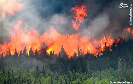 آتش سوزی هولناک جنگل‌های کانادا