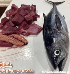 خرید و قیمت ماهی تن (هوور) از غرفه ماهی و میگوی بوشهر