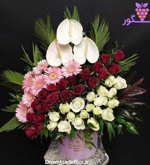 باکس گل خواستگاری- باکش گل بله و برون- سفارش آنلاین گل