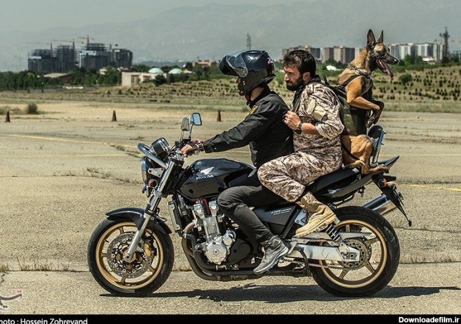 عکس/ موتور سواری بامزه سگ پلیس - جهان نيوز