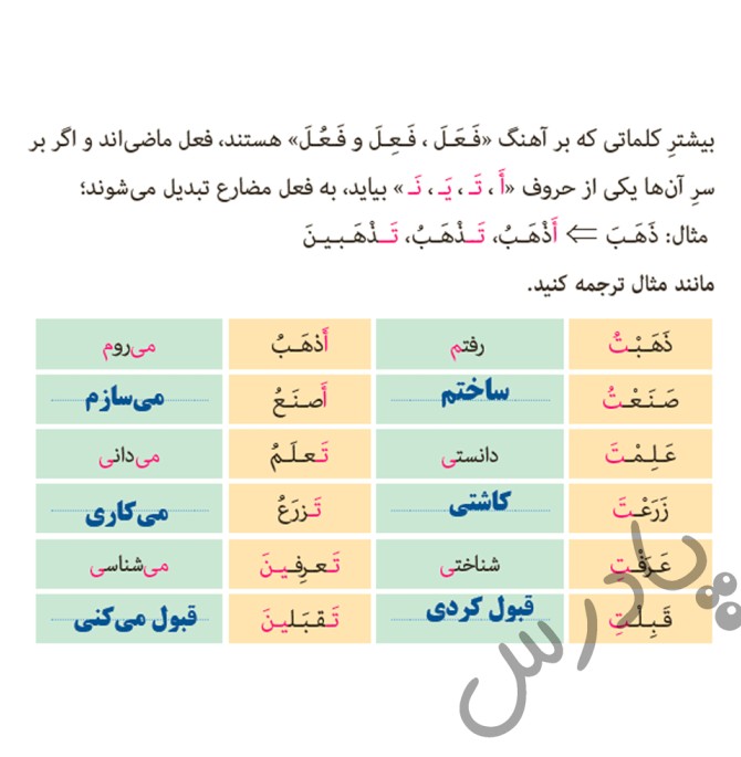 ترجمه صفحه 28 عربی هشتم | پادرس