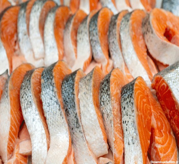 عکس ماهی سالمون اصل
