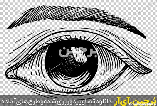 Borchin-ir-hand-drawn-human-eye طرح نقاشی سیاه قلم چشم و ابروی انسان png2