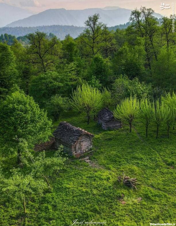 قابی زیبا از طبیعت رویایی مازندران - تابناک | TABNAK