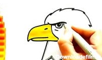 آموزش نقاشی حیوانات بسیار زیبا | نقاشی عقاب برای کودکان