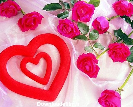 عکس گل رز عاشقانه زیبا و دلنواز