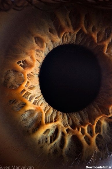 نزدیکترین نما از چشم انسان (عکس)