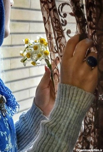 عکس پروفایل گل نرگس در دست دختر