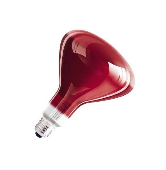 لامپ مادون قرمز 250 وات ( برای ساخت مادر مصنوعی ) | فروشگاه ...
