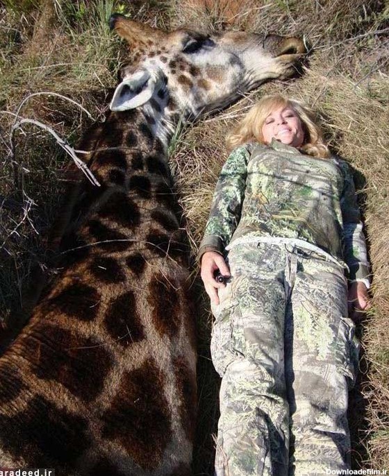 کسب عنوان «شکارچی زن سال» با کشتن حیوانات در حال انقراض ...