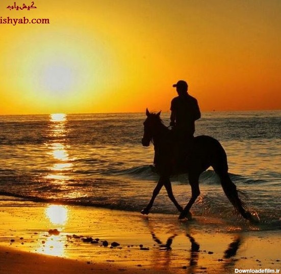 تصاویر زیبای اسب سواری در کیش