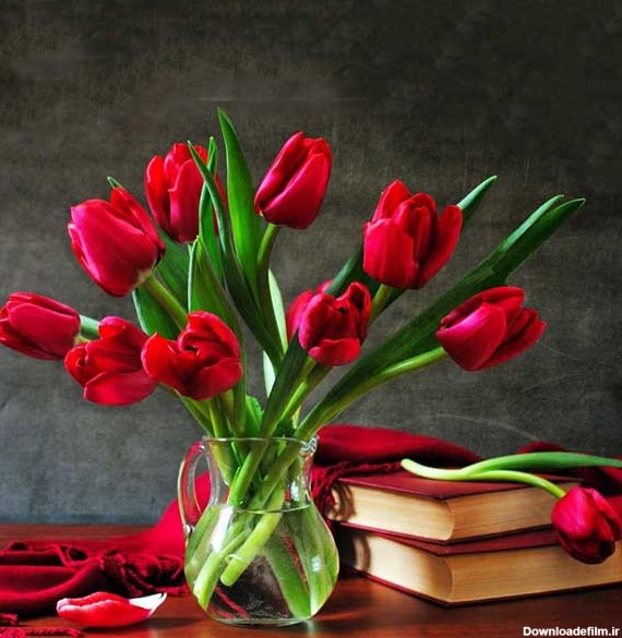 عکس گل لاله قرمز کنار کتاب