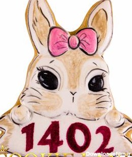 خرگوش1402 مدل 1 – کوکی لند