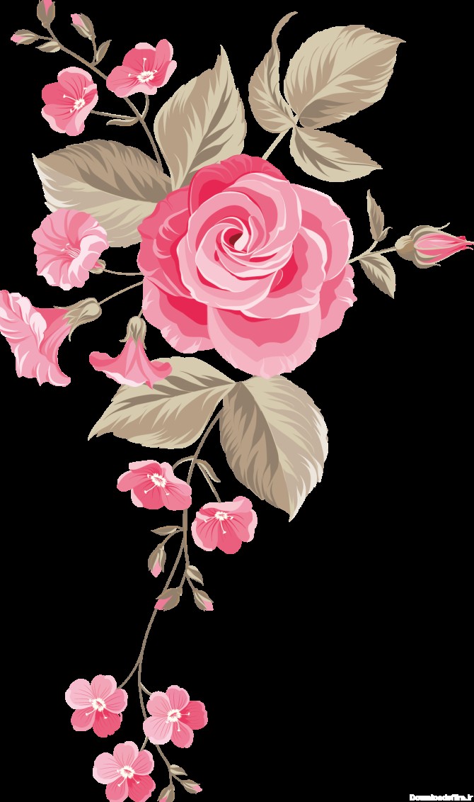 عکس PNG گل رز - نقاشی گل رز ❤ Rose Flower PNG Download - دانلود ...