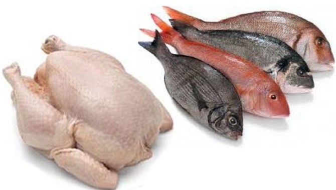 مرغ و ماهی هم پایشان به بورس کالا باز می‌شود؟ - تابناک | TABNAK