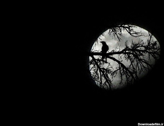 آموزش عکاسی – اصول عکاسی از ماه | لنزک