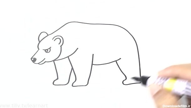 عکس نقاشی خرس فیلم
