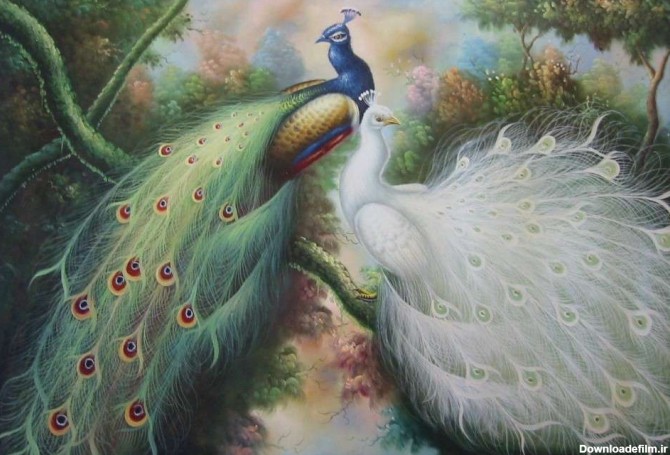 نقاشي بسيار زيبا از دو طاووس سفيد و هندي روي درخت