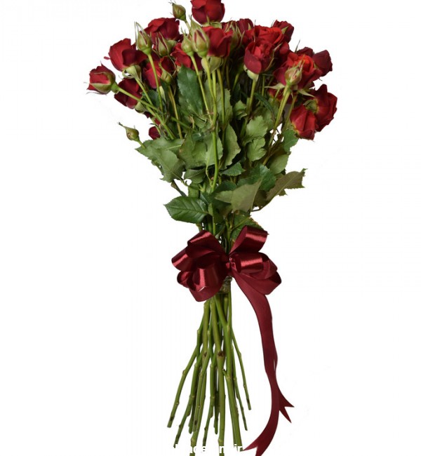 مشخصات، قیمت و خرید شاخه گل رز مینیاتوری قرمز دسته 10 عددی | دیجی‌کالا