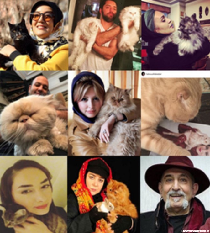 زندگی مجردی سلبریتی‌ها در آغوش سگ و گربه‌های فانتزی