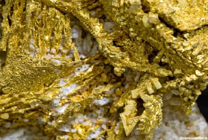 عکس معدن طلا زاهدان