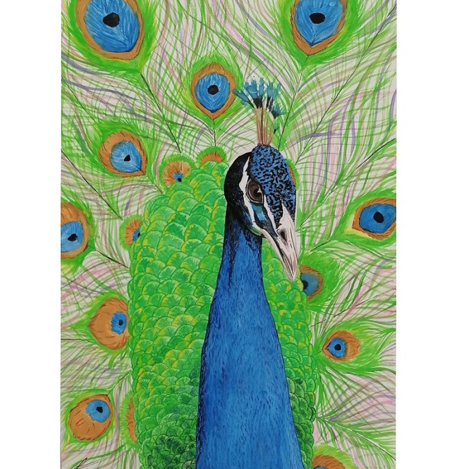 قیمت و خرید نقاشی ابرنگ مدل طاووس